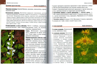 Дикорастущие лекарственные растения средней полосы России