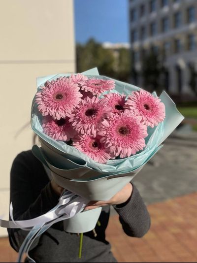 Букет из 9 гербер (цвет на выбор)