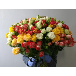 Букет из 25 кустовых роз