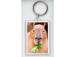 Брелок акриловый Капибара, Kapibara-san №21