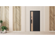 Стальная дверь   Конструктор с зеркалом (биометрический замок Smart lock Y23)