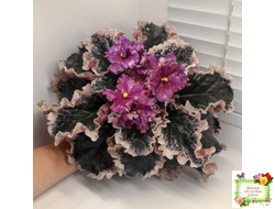 ВаТ-Калейдоскоп (Т. Валькова) 2015 г.