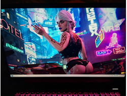 ARDOR GAMING RAGE R17-I5ND413 ( 17.3 Full HD  IPS 144Hz i5-12450H RTX4060 (8Gb) 16Gb 512Gb SSD )