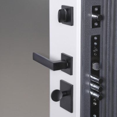 Стальная дверь    Беркут с зеркалом