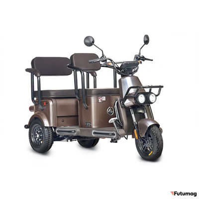 Электротрицикл Wanshida U1-X 60V 800Вт коричневый