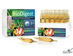 Prodibio BIO DIGEST гипер-концентрированный бактериальный препарат (1 ампула)
