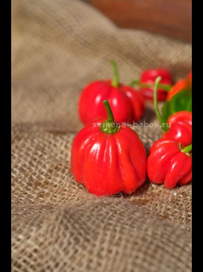 Перец острый Aji Dulce Rojo (Ахи Долче Рохо), 10 шт