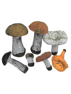 Набор муляжей грибов