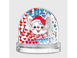 Водяной шар год Кролика №35