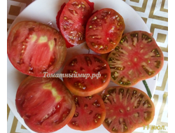 Томат Черный Франкенштейн (Frankenstein Black) США