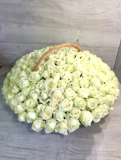 201 белая роза в корзине