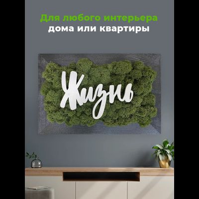 ЖИВАЯ ЭКО-КАРТИНА 1049