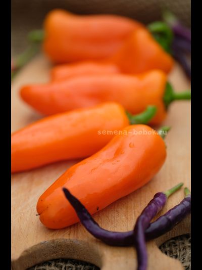 Перец сладкий Апельсин, 10 шт