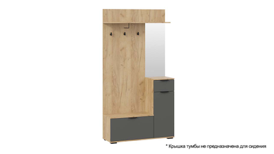 Прихожая Эвита Тип 1 - Секция комбинированная Тип 1 Дуб Крафт золотой/Графит