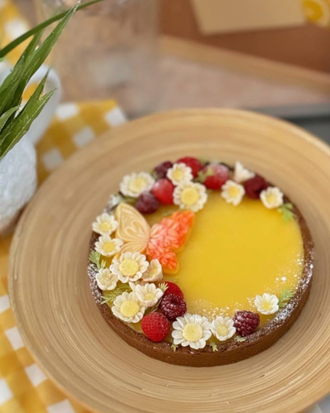 ЦВЕТОЧКИ РОМАШКИ