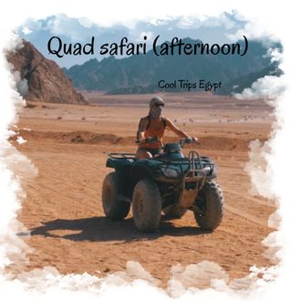 Quad safari in the afternoon (3 hours program) (El Quseir, Port Ghalib, Marsa Alam)