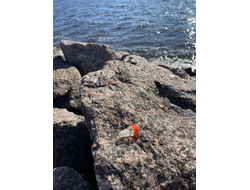 Масло НОТА: УСТА САХАРНЫЕ, 2.5 мл