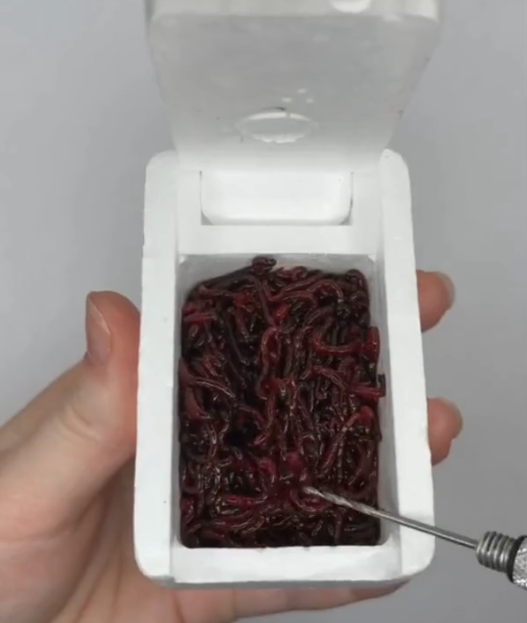 Бокс для наживки теплый