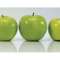 ШМП026  Панель SP026. Размер: 2800х610х6.