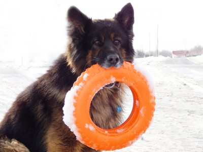 Doglike Кольцо  ГИГА (Оранжевый)