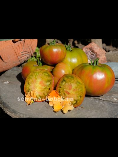 Томат Медная река (Copper River/Купер Ривер), 10 шт.