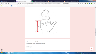 Перчатки для дуэльного фехтования "Золотой сокол"