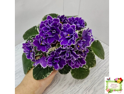 ВаТ-Крайслер (Т. Валькова) трейлер