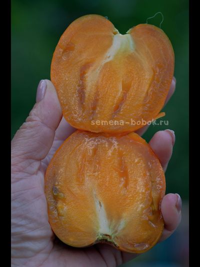 Томат Severe Melon (Суровая Дыня немцев Поволжья), 10 шт