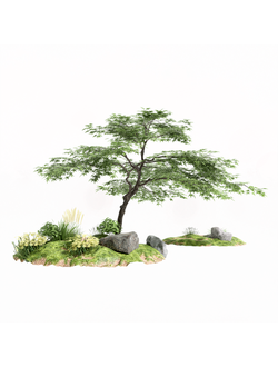 клумбы Альпинарий Garden Landscape