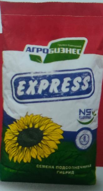 Гибрид подсолнечника НС Х 6316 (технология Express) Нови Сад Сербия