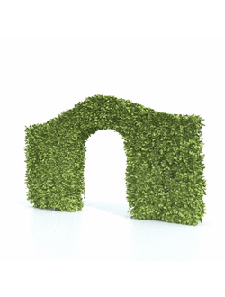 стриженые Арка 3 из кустарника
