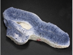 Коралл голубой Акори, Австралия (86*41*11 мм, 45 г) №37708