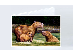 Обложка на зачетную книжку Капибара, Kapibara-san №20