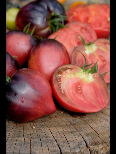 Томат Вишневый Сироп, 10 шт