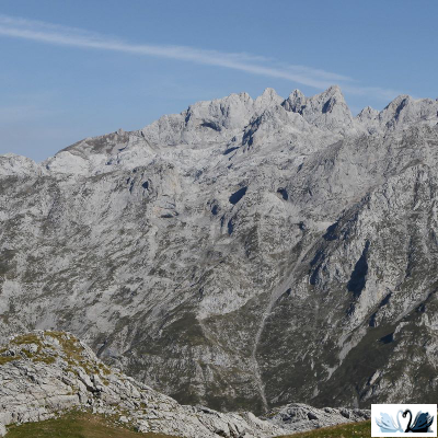 Керамогранит Belani Cornion дымчатый 50 х 50 см Береза керамика