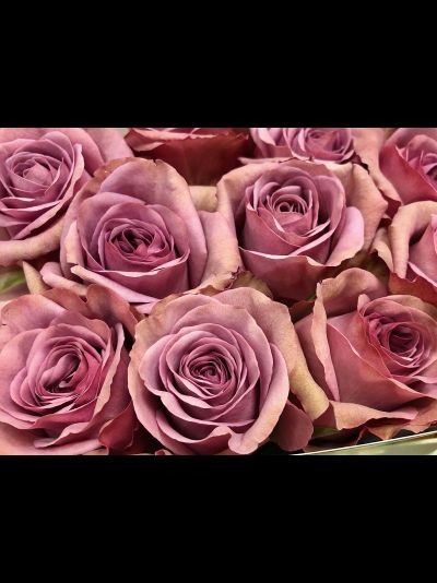 Монмартр (Montmartre)