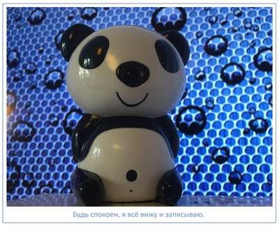 Видеоняня Panda WiFi-LAN видеокамера с DVR , HD (MIPC)