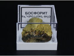 Босфорит в пластиковом боксе, Крым, Керчь №22124