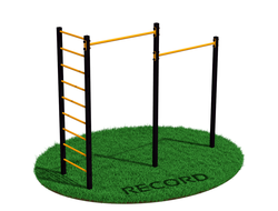 Уличный турник двойной + шведская стенка Record RW-2 профиль 60х60 х 2 мм