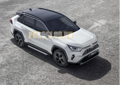 Пороги на Toyota Rav-4 (2019-…) Start