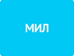 Московский Институт Лингвистики (МИЛ)