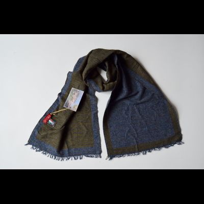 Синий с зеленым шарф Vizio Италия 6202 SS