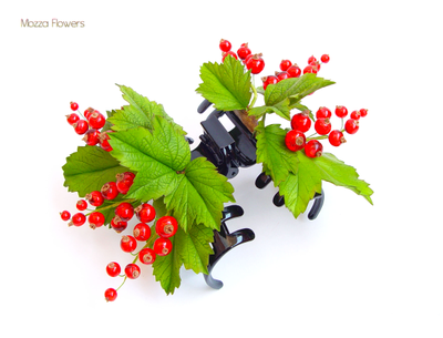 Краб с красной смородиной.