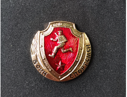Значок "Воин - спортсмен РФ" (нет в наличии)