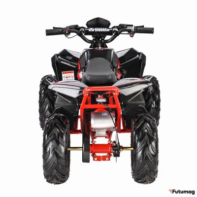 Электроквадроцикл  WHITE SIBERIA SNEG R 1500W