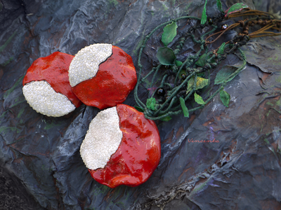 Комплект фэнтези-украшений "Яблочко Белоснежки" (парадное колье и крупные серьги)