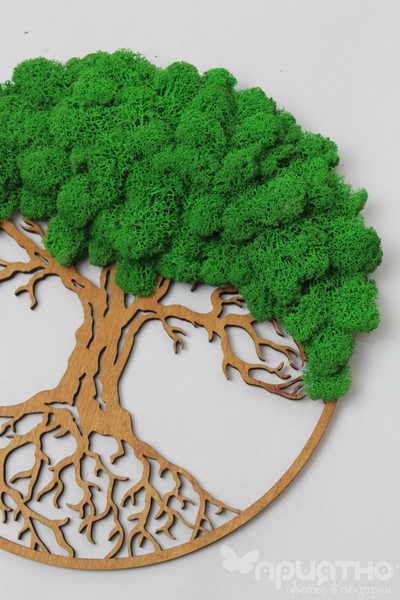 Живая Эко-Картина 1067