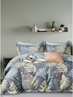 Постельное белье TANGO Twill сатин 2 спальное 180x210x1 220x245x1 50x70x2 TPIG2-1940-50