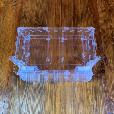 Формикарий 4ants Crystal XL pro + колония Messor Structor