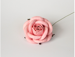 Макси-розы 5 см. розовоперсиковые (123)